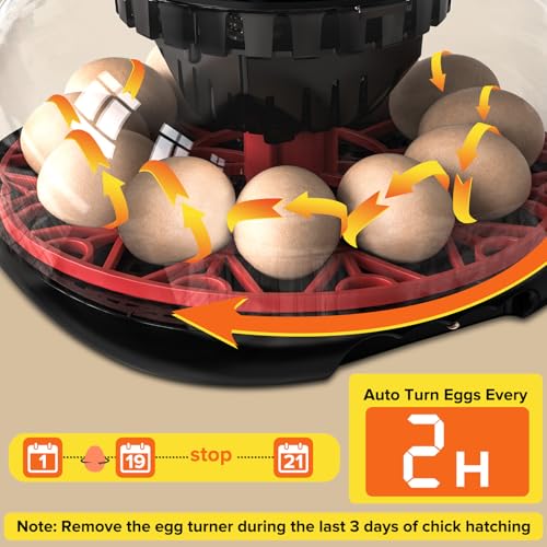 Incubator with Automatic Egg Turning and Humidity Control, Incubators for Hatching Eggs, Chicken, Ducks, Goose, Pigeon, Quail, Parrot Incubator for Farm, Lab, Science Classroom, Home - color: Black