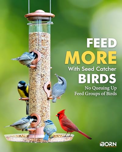 iBorn Bird Feeders Seed Catcher for Outside Hanging 6 Port Bird Feeder for Cardinal Birds Aluminium Metal,Brushed Copper Finishing 14 Inch 6 Port (Seed is not Included) - color: Brushed Copper, 14 inch, 6 Ports