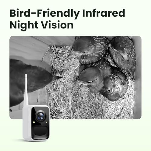Smart Bird House with Camera Solar Powered, 1080HD Live Video & Night Vision for 24/7 Nesting Recording, Auto Detect & Notify, Ideal Nature Gift for Bird Lovers, AI Identify Lifetime Free