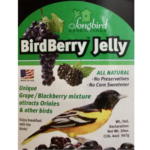 Songbird Essentials Bird Berry Jelly 20 Oz