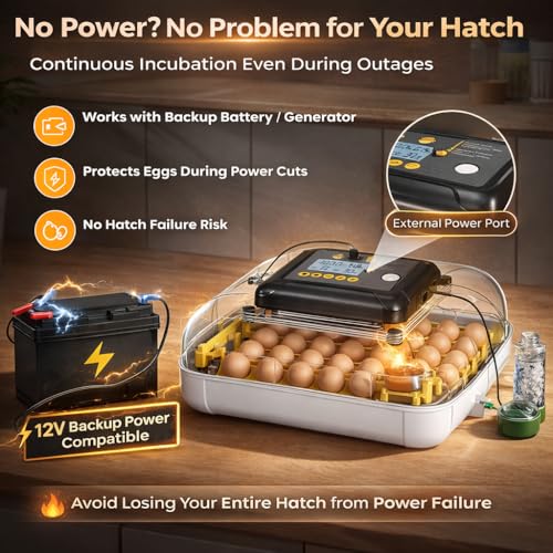 Egg Incubator for Hatching Eggs 30 Eggs, Chicken Incubator with Automatic Egg Turning, Temperature & Humidity Control, Egg Candler, Poultry Incubator for Chicken Quail
