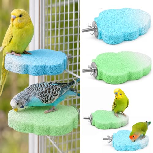 2 Pcs Bird Beak & Claw Trimming Stone, Rough Pumice Perch for Small Birds | Non-Slip Rough Pumice Stone Perch for Beak & Claw Trimming, Ideal for Cockatiels, Lovebirds, Conures & Small Birds