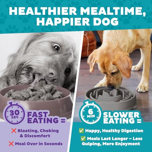 Outward Hound Fun Feeder Slo Bowl – Large 4‑Cup Capacity,Slow Feeding,Medium to Large Dogs,Non‑Slip,Gray,Drop Pattern,(Pack of 6) - color: Gray, size: Large (Pack of 6)