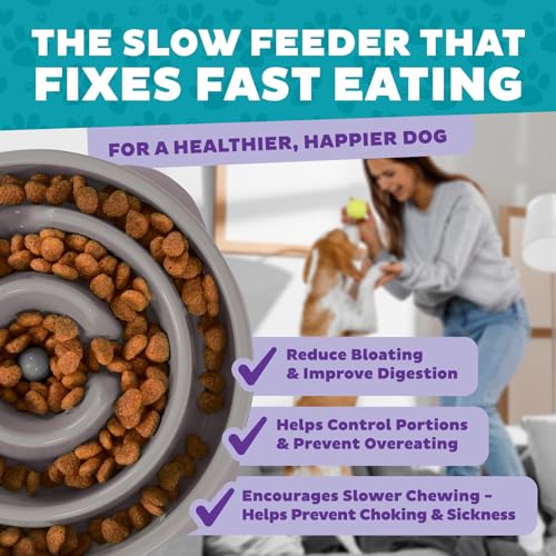 Outward Hound Fun Feeder Slo Bowl – Medium 2‑Cup Capacity,Slow Feeding,Small to Medium Dogs & Cats,Non-Slip,Gray,Drop Pattern,(Pack of 12) - color: Gray, size: Medium (Pack of 12)