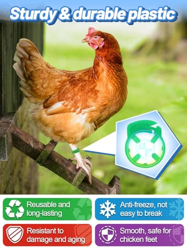 MEWTOGO 17-23mm Adjustable 100 Pcs Chicken Leg Bands - Colorful Easy to Read Numbered Chicken Identification Leg Rings, Durable Poultry Leg Bands for Ducks Goose Turkey Small Birds