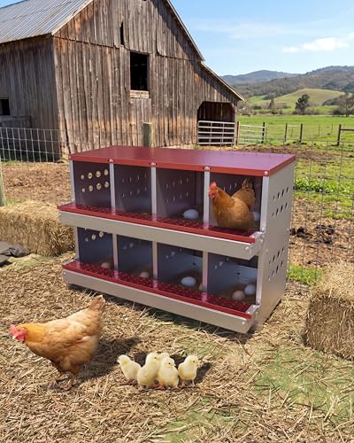 Chicken Nesting Box, 8 Compartment Metal Nesting Box, Wall Mountable Nesting Boxes with Swing Perch and Roll Away Egg Collection, Vented Holes, 8 Training Eggs Included, Red - color: Red