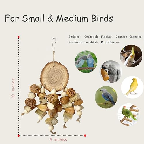 Natural Bird Toys - Chew Toys for Parrot, Cage Accessories- Wooden Stand for Parakeet, Parrot, Cockatiel, Budgie, Conures - Bird Foraging Toys for Small and Medium Size Birds