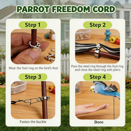 Bird Leash, 3-Meter Long, with Size 4 Foot Loop for Small Budgie and Lark, Lightweight Training Lead for Outdoor Use