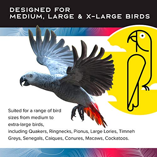 Featherland Paradise - Cage Mounted Buffet Ball - Interactive Bird Toy and Treat Dispenser - Creative Foraging Systems - Ideal for Medium to Extra Large Birds - style: Buffet Ball & Kabob