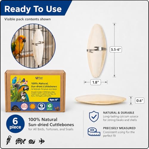 Birds LOVE 5.5-6″ Cuttlebone for Birds – 100% Natural Sun-Dried Calcium & Beak Conditioning Supplement for Parakeets, Budgies, Cockatiels, Finches & Canaries – 6 Pack with Holder – Made in Vietnam - size: 1 Count (Pack of 1)