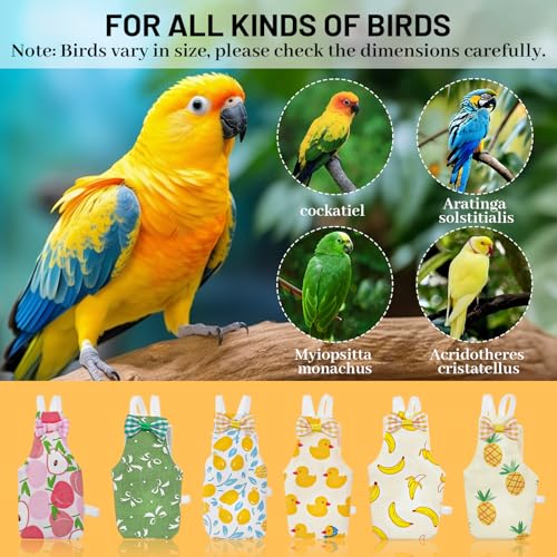 Bird Diaper, 6Pcs Reusable Parrot Diapers with Waterproof Inner (Medium) | Washable Parrot Diapers for Indoor Parakeet Lovebird Canary