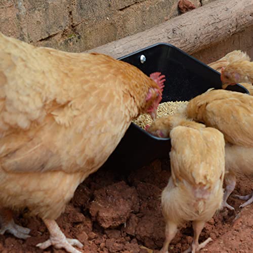 Hanging Chicken Feeder Trough for Goat Sheep Deer Poultry Duck Chicken Fence Feeder Livestock Feeding Container Goats Supplies Feeders Waterer Bucket - color: Black