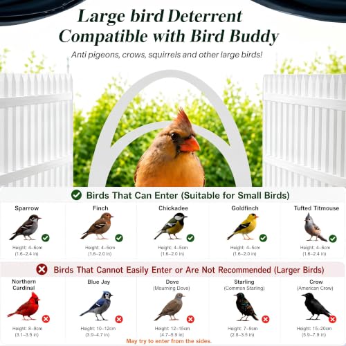 Upgraded Double Arc & Round Anti Perch Fence Compatible with Bird Buddy Feeder, White Large Bird Perch Barrier & Shield Accessories with Mesh Tray, Keep Feeding Area Clear for Small Birds