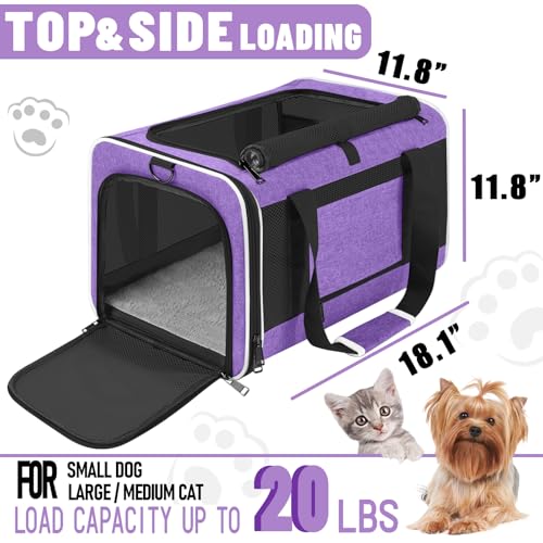 GAPZER Large Cat Carrier Soft, Collapsible Travel Pet Carry Bag, Small Dogs | Large Cats up to 20 lbs+ Maine Coon, Top Load Transport Small Puppy Dog Crate, Chihuahua Mini Dog 10lbs, Sturdy Fabric Pueple - color: Purple
