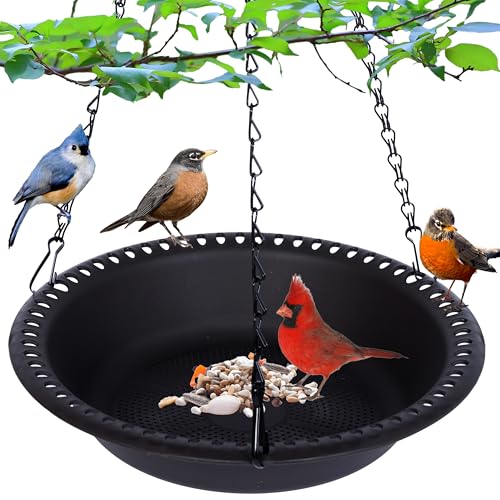 Hanging Bird Feeder Tray 10inch for Garden Yard Outside, Black - color: Black, size: 10 inch