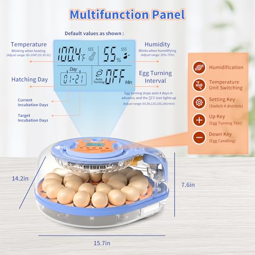 Incubators for Hatching Eggs, FAMEWARE 26 Egg Incubator with Voice Control, Auto Turning, Auto Humidity, °F/°C Switch & Egg Candler, Fits Chicken Bird Eggs - Blue - color: Blue