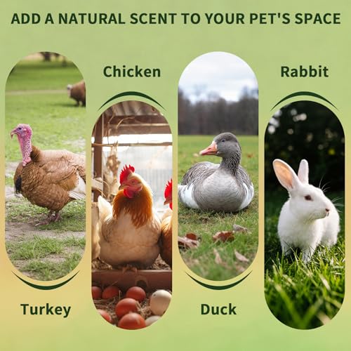 BGraceyy Chicken Nesting Herbs 16 oz – 11 Natural Dried Herb Blend with Marigold for Chicken Coop & Roost Refresh, Nesting Box & Dust Bath, Supports Natural Nesting Behavior - size: 16 ounce