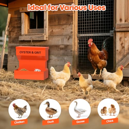 CHUANGFENG Chicken Feeder – Wall Mounted Metal Oyster Shell & Grit Feeder for Chickens, Heavy Duty Coop Feeder with Rust-Resistant Steel, Ideal for Backyard Poultry & Small Farms