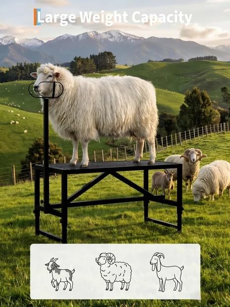 Goat Milking Stand 47x23 inch Heavy-Duty Metal Livestock Stand, 500lbs Capacity, Adjustable Height 21"-37", for Milking/Trimming/Grooming - color: Black, size: 47 inch chain