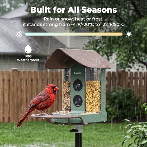 Smart Bird Feeder with 4K AI Camera Solar Powered, No Subscription | Lifetime AI Identification Bird Species, 4K Live Stream, 8MP Photos, Real-Time Bird Visit Alert, Backyard Birdwatching Gift - color: Brown