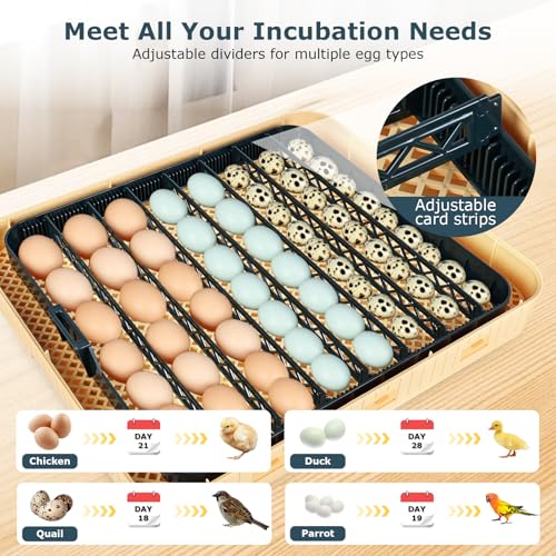Incubators for Hatching Eggs, 56 Eggs Incubator with Egg Candler, Auto Egg Turner, Temp & Humidity Control, Hatch Day,360° Viewing for Chicken,Duck,Quail Eggs,Ideal for Farm,School and Lab,Blue&Yellow - size: 56 Eggs