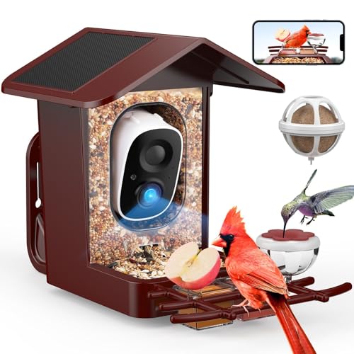 PeckCam® Bird Feeder with Camera Solar Powered 2K Live Video Auto Capture | AI Bird Species Identification, Instant App Alert, IP65 Waterproof, Easy Setup, Backyard Bird-Watching, Gift for Bird Lovers - color: Red