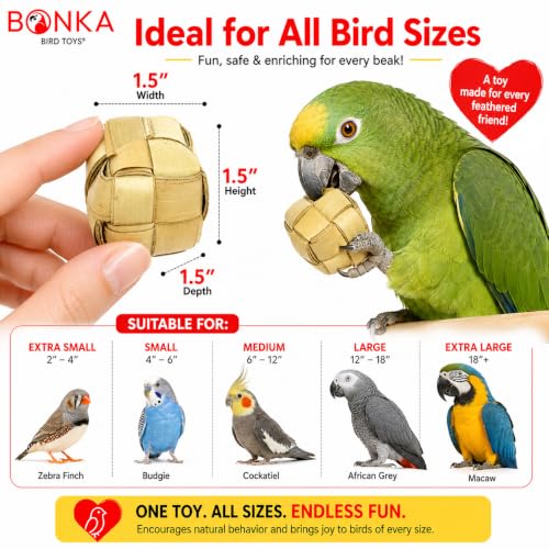 Bonka Bird Toys 1256 Pk3 Mini Palm Leaf 1.50" Square Boxes, Medium Parrot Forage Chew Foot Talon Cage Toys, African Grey, Conure, Pionus, and Similar Birds