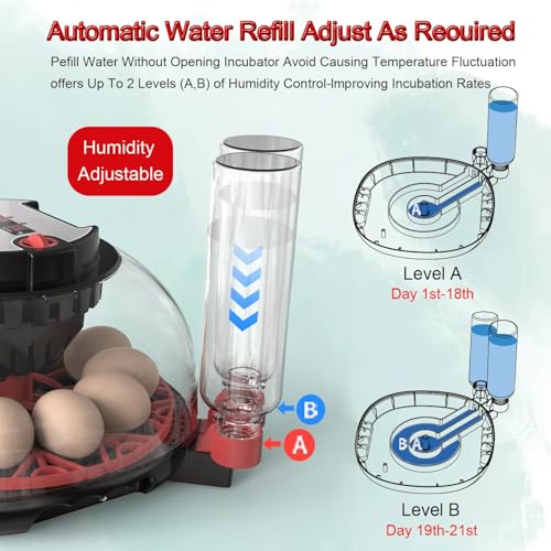 12 Egg Incubator with Auto Turner, Built-in Candler & Humidity Display | Suitable for Hatching Chicken Duck Quail Bird - size: 12 Egg