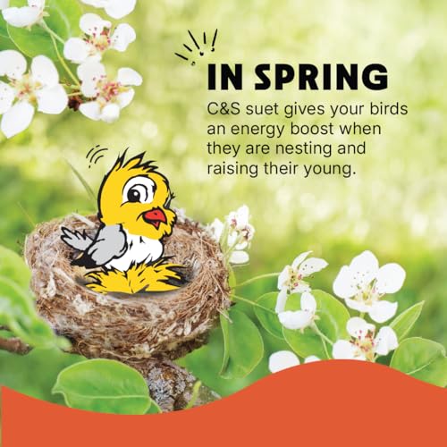 C&S Woodpecker Suet Treat, Outdoor Wild Bird Food for Woodpeckers, Flickers and More, 8 Pack - style: Woodpecker, 8 Pack