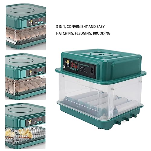 Zerodis Automatic Egg Turner, LED Egg Incubators Automatic Egg Incubators Display Dual Power Supply Egg Incubator Hatches Chicken Duck Quail Eggs (US Plug 110V 10 Eggs) - size: US Plug 110V 10 Eggs