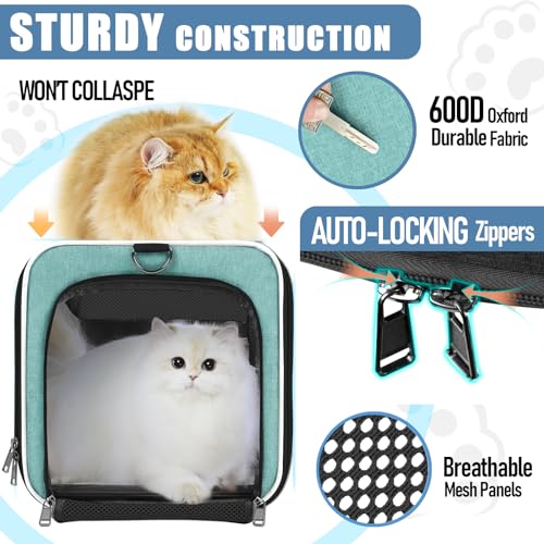 GAPZER Large Cat Carrier Soft, Collapsible Travel Pet Carry Bag, Small Dogs | Big Kitten Cat 20lbs Mainecoon, Top Open Travel Shih-Tzu Pet Kennel, Yorkie Small Dog 10 Pounds, 18x12x12, Durable Cloth Teal - color: Turquoise