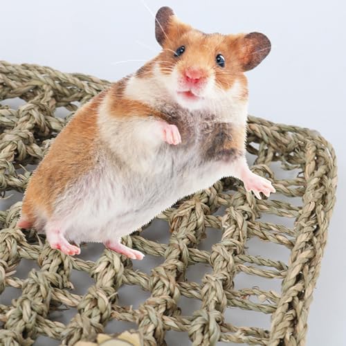 2 PCS 7 x 7 Inches Seagrass Mat, Natural Seagrass Woven Bird Net Hammock Mat, Cage Accessories, Climbing Rope Ladder Chew Toys for Parrots, Cockatoos, Lovebirds, Cockatiels, Budgies, Parakeets - size: 7 x 7 Inch