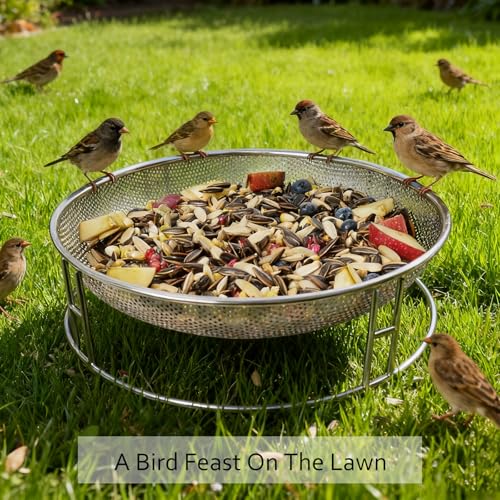 13-Inch Ground Feeding Platform for Birds, Squirrels, Ducks, Chicken, Stainless Steel Bird Feeders Combination with Additional Hanging Mesh Tray, Attracting Small Creatures for Backyard, Patio - color: bird feeder set