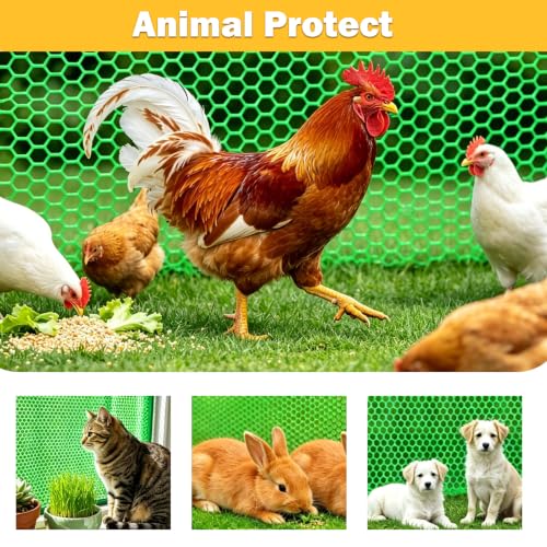 Jollybower 15.7IN x 10FT Plastic Chicken Wire Mesh Fence, Easy Install Chicken Wire Fencing, Garden Netting & Animal Barrier for Animals,Plant,Pet-1pack，Green - color: Green