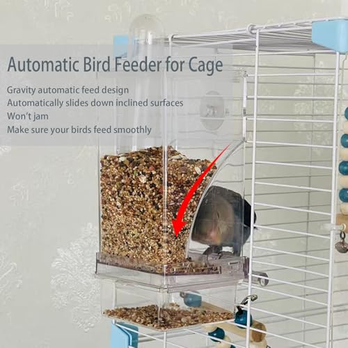 No Mess Bird Feeder Water Dispenser Set Acrylic Automatic Parrot Feeder | Transparent Parrot Food Container Drinker Cage Accessories for Small Birds Canary Finch (Dark green, 1) - color: Dark green