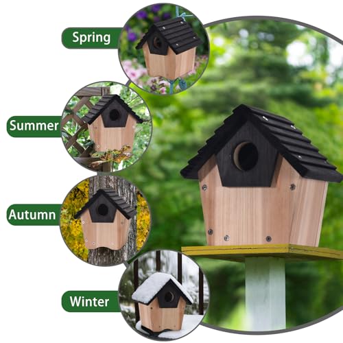 Unassembled DIY Wooden Bluebird House Kit with Predator Guard - Hanging Outdoor Wild Bird Nesting Box for Garden, Backyard, Courtyard - Attracts Bluebird, Finch, Cardinal, Wren