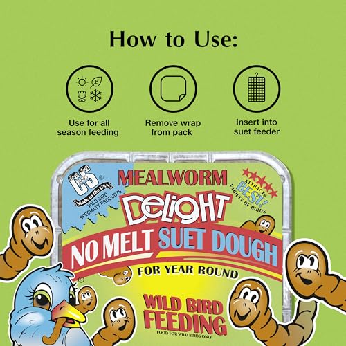 C&S Mealworm Delight No Melt Suet Dough, Suet Cakes for Wild Birds Including Robins, Blue Jays, Woodpeckers, Wrens, Bluebirds and More, 11.75 Ounces, Pack of 8 - size: 1.47 Ounce (Pack of 8), style: Mealworm, 8 Pack