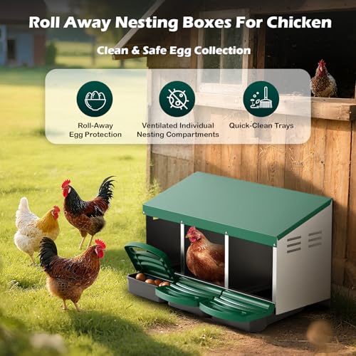 Chicken Nesting Boxes, Roll Away Laying Nest Box for Hens, 3 Compartments | Rollout design with removable drawer for easy egg collection and cleaning, built with durable galvanized steel, Green - color: Green