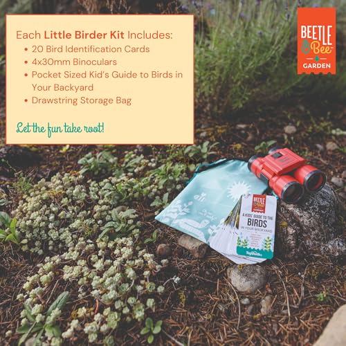 Beetle & Bee Bird Watching Kit For Kids 4x30 Binoculars Nature Toy Ages 5+ | Outdoor Explorer Gear, Backyard Birding Activities, Starter Observation Play, Travel Discovery Trips, Young Naturalist Gifts. - style: Little Birder Set