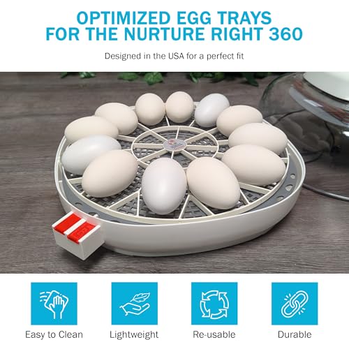 Durable Egg Tray for Nurture Right 360 Incubator 11 Large Goose Turkey Eggs
