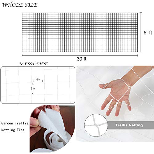 6in Mesh Trellis Netting, 5x30ft, 1 Pack | Polyester mesh netting for vine crops & plants; Suitable for garden garden applications - size: 6" Mesh (5'X30')