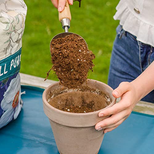 Berry&Bird Loose Soil Scoop, 12.9" Stainless Steel Gardening Scoop with Wood Handle - color: Loose Soil Scoop, size: Small