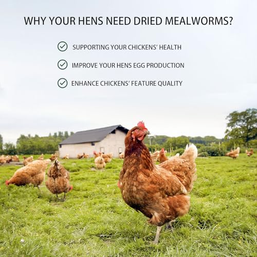 Dried Mealworms 20LB Pure Natural Chicken Treat for Laying Hens Wild Bird | NON-GMO High Protein - size: 10 Pound (Pack of 2)