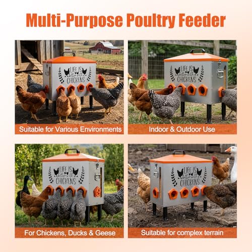 95LB Extra-Large Chicken Feeder with 10 No-Waste Ports – Galvanized Metal Poultry Feeder, Anti-Roost Roof Lid, Feed Level Window & Adjustable Cylindrical Legs – Outdoor Feed Box for Ducks & Geese - size: 95LB