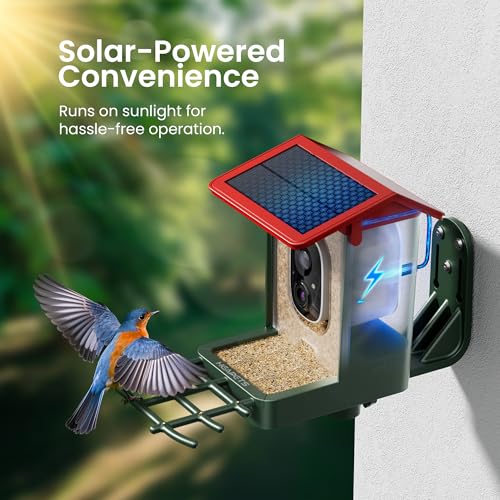 Smart Bird Feeder with Camera Solar Powered, 2K HD Video, AI Bird Species Identification, Instant Arrival Alerts, Weatherproof Design for Effortless Birdwatching, Best Gift for BirdLovers, Red - color: Green-Red