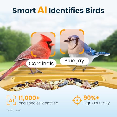 Smart Bird Feeder with Camera, Yellow | 2.5K UHD, AI Bird Species Identification, Solar Powered, 2.4G WiFi, IP66 Waterproof Outdoor, Instant Alerts, Gift - color: Yellow