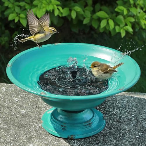 Solar Bird Bath Fountains, Bird Bath for Outside with cast Iron Base | bird bath fountains solar power;Rustproof & Weatherproof;bird bath bowl for outdoor garden and patio decoration
