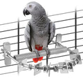 DBNESS Bird Perch - 304 Stainless Steel Parrot Perches for Cage with Beak & Claw Trimming Grinding Surface, Parrot Chewing Toy for Macaws African Greys Amazon Parrots