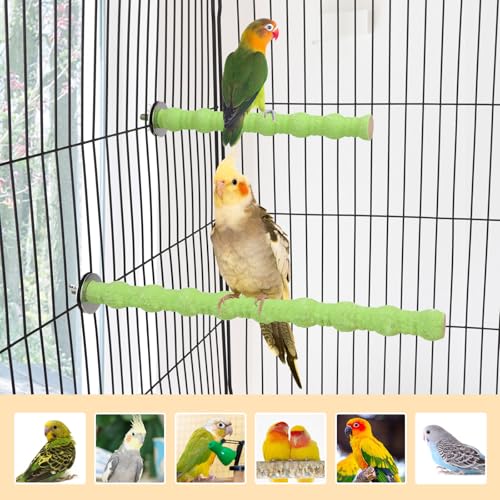 Hypeety 2PCS Bird Wood Perch Stand Parrot Paw Grinding Stick Toy Pet Bird Cage Stand Platform for Bird Parrot Budgies Parakeet Cockatiels Cage Accessories (7in/10in) (Green) - color: Green