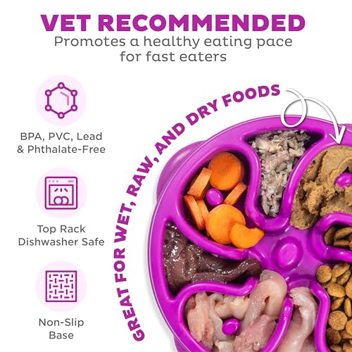 Outward Hound Fun Feeder Slo Bowl – Medium 2‑Cup Capacity, Slow Feeding, Small to Medium Dogs & Cats, Non-Slip, Purple, Flower Pattern - color: Purple, size: Medium